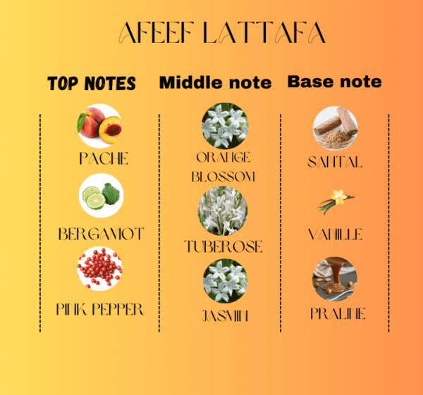 Notes Afeef Lattafa