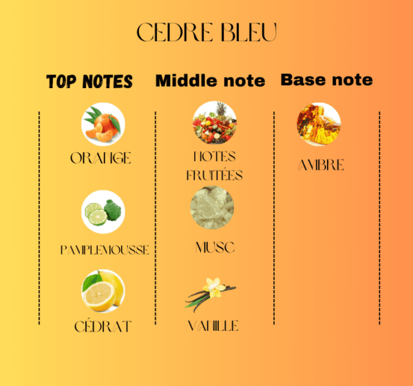 Cèdre Bleu – Image 3